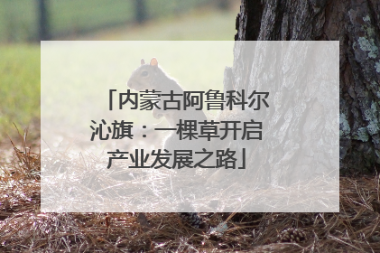 内蒙古阿鲁科尔沁旗：一棵草开启产业发展之路