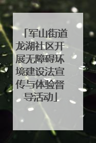 军山街道龙湖社区开展无障碍环境建设法宣传与体验督导活动