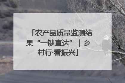 农产品质量监测结果“一键直达”｜乡村行·看振兴