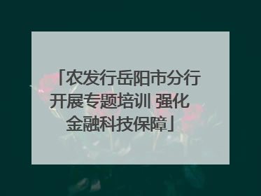 农发行岳阳市分行开展专题培训 强化金融科技保障