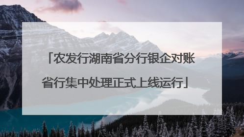 农发行湖南省分行银企对账省行集中处理正式上线运行