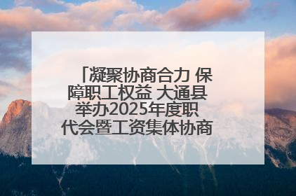 凝聚协商合力 保障职工权益 大通县举办2025年度职代会暨工资集体协商现场观摩交流活动