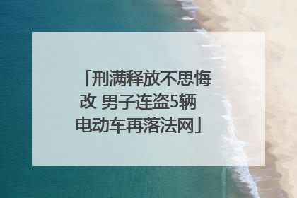 刑满释放不思悔改 男子连盗5辆电动车再落法网