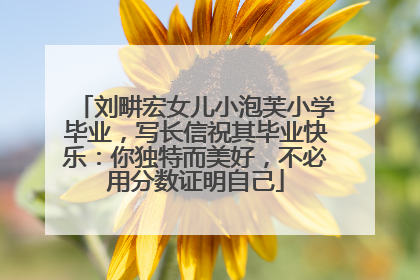 刘畊宏女儿小泡芙小学毕业，写长信祝其毕业快乐：你独特而美好，不必用分数证明自己