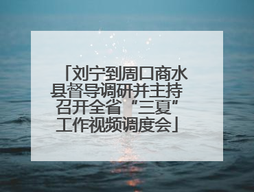 刘宁到周口商水县督导调研并主持召开全省“三夏”工作视频调度会