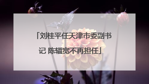 刘桂平任天津市委副书记 陈辐宽不再担任