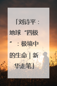 刘诗平：地球“四极”：极境中的生命｜新华走笔