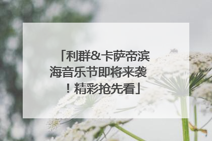 利群&卡萨帝滨海音乐节即将来袭！精彩抢先看