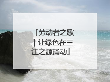 劳动者之歌｜让绿色在三江之源涌动