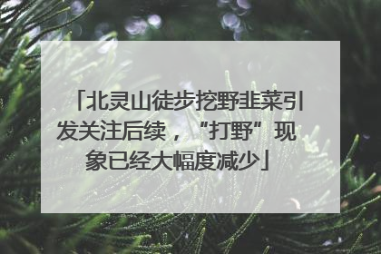 北灵山徒步挖野韭菜引发关注后续，“打野”现象已经大幅度减少