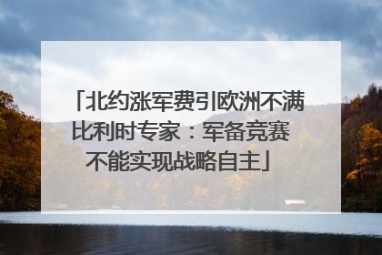 北约涨军费引欧洲不满 比利时专家：军备竞赛不能实现战略自主
