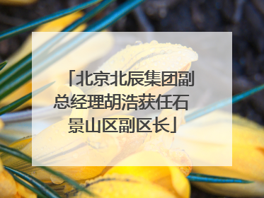 北京北辰集团副总经理胡浩获任石景山区副区长