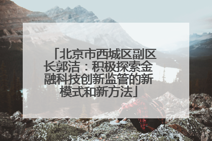 北京市西城区副区长郭洁：积极探索金融科技创新监管的新模式和新方法