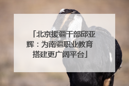 北京援疆干部邱亚辉：为南疆职业教育搭建更广阔平台