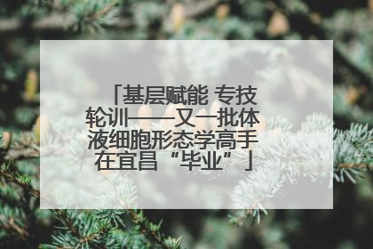基层赋能 专技轮训——又一批体液细胞形态学高手在宜昌“毕业”