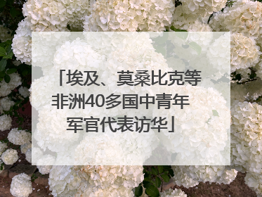 埃及、莫桑比克等非洲40多国中青年军官代表访华