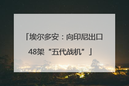 埃尔多安：向印尼出口48架“五代战机”