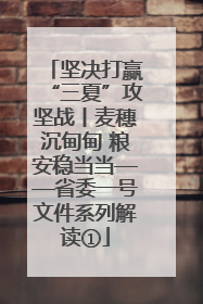 坚决打赢“三夏”攻坚战丨麦穗沉甸甸 粮安稳当当——省委一号文件系列解读①