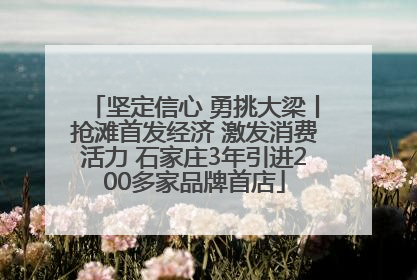 坚定信心 勇挑大梁丨抢滩首发经济 激发消费活力 石家庄3年引进200多家品牌首店