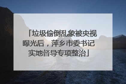 垃圾偷倒乱象被央视曝光后，萍乡市委书记实地督导专项整治