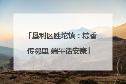 垦利区胜坨镇：粽香传邻里 端午话安康