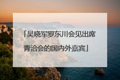 吴晓军罗东川会见出席青洽会的国内外嘉宾