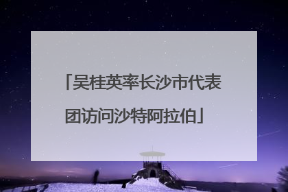吴桂英率长沙市代表团访问沙特阿拉伯