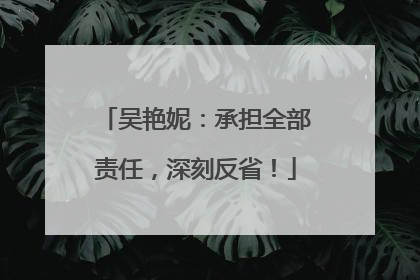 吴艳妮：承担全部责任，深刻反省！