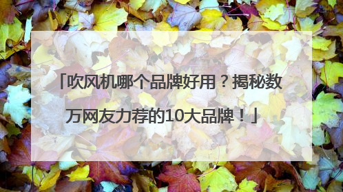 吹风机哪个品牌好用？揭秘数万网友力荐的10大品牌！
