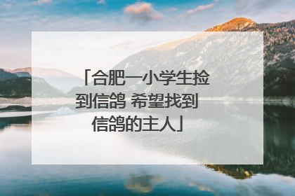 合肥一小学生捡到信鸽 希望找到信鸽的主人