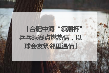 合肥中海“领潮杯”乒乓球赛点燃热情，以球会友筑邻里温情