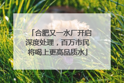 合肥又一水厂开启深度处理，百万市民将喝上更高品质水