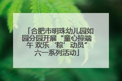 合肥市明珠幼儿园如园分园开展“童心撞端午 欢乐‘粽’动员”六一系列活动