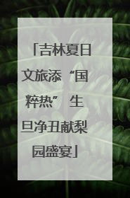 吉林夏日文旅添“国粹热” 生旦净丑献梨园盛宴