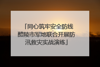 同心筑牢安全防线 醴陵市军地联合开展防汛救灾实战演练