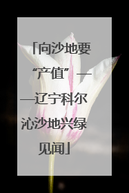 向沙地要“产值”——辽宁科尔沁沙地兴绿见闻
