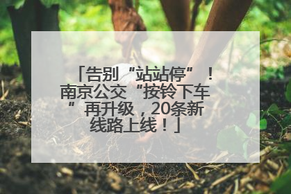 告别“站站停”！南京公交“按铃下车”再升级，20条新线路上线！