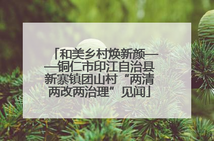 和美乡村焕新颜——铜仁市印江自治县新寨镇团山村“两清两改两治理”见闻
