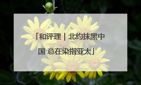 和评理｜北约抹黑中国 意在染指亚太