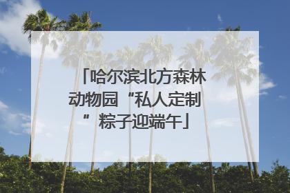 哈尔滨北方森林动物园“私人定制”粽子迎端午