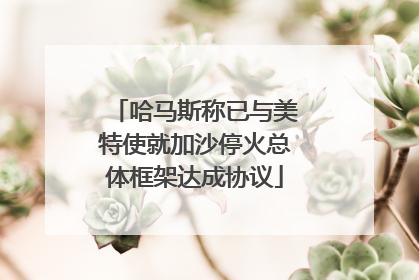 哈马斯称已与美特使就加沙停火总体框架达成协议