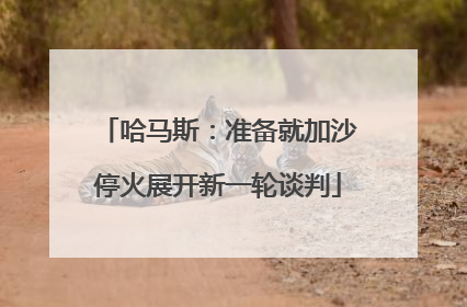 哈马斯：准备就加沙停火展开新一轮谈判