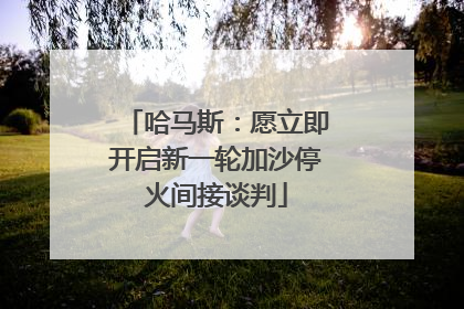 哈马斯：愿立即开启新一轮加沙停火间接谈判