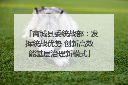 商城县委统战部：发挥统战优势 创新高效能基层治理新模式