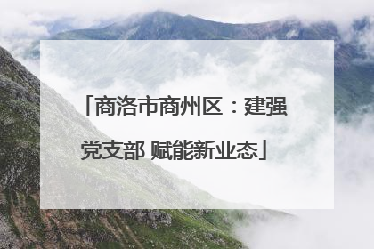 商洛市商州区：建强党支部 赋能新业态