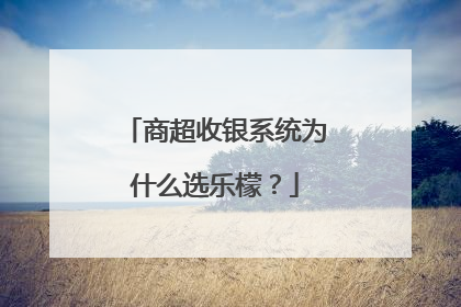 商超收银系统为什么选乐檬？