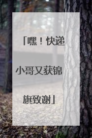 嘿！快递小哥又获锦旗致谢