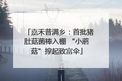 嘉禾普满乡：首批猪肚菇菌棒入棚 “小蘑菇”撑起致富伞