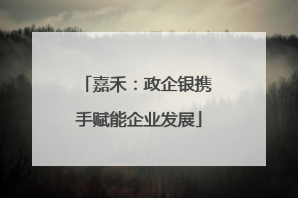 嘉禾：政企银携手赋能企业发展