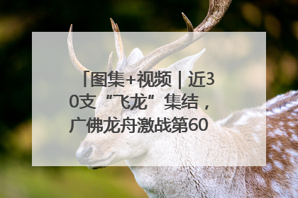 图集+视频｜近30支“飞龙”集结，广佛龙舟激战第60届荔湾“沙溪景”